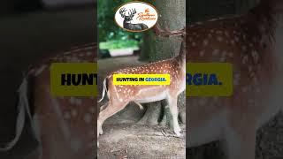 The Southern Residence — The Premier Luxury Hunting Lodge in Georgia, USA.- Best Hunting in Georgia