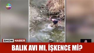 Balık avı mı, işkence mi?