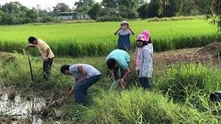 Papillon Nguyen   Papillon Nguyen đã đăng một video lên