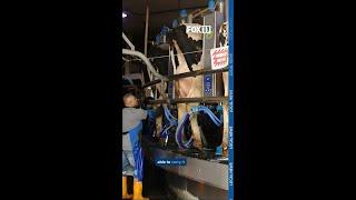Wisconsin dairy farms evolve with changing technology