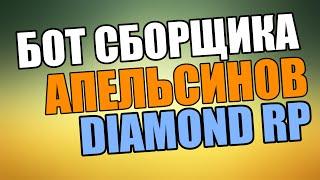 Бот сборщика апельсинов. Зарабатываем деньги на Diamond RP!