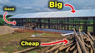 How I Build Big, Cheap Chicken Houses
