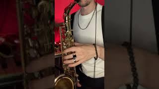 Unbrake my heart (saxophone cover)