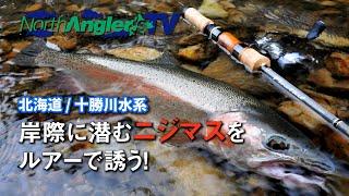 北海道／十勝川水系で夏の渓流ルアーフィッシングを満喫！