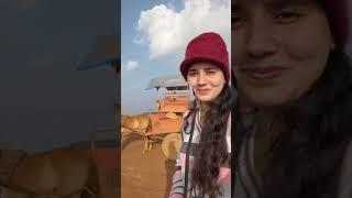 PANCHGANI |TABLE LAND POINT| Satara Maharashtra| #panchagani #tableland #panchganitour #shortvideo