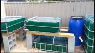 My Aquaponics introduction video.