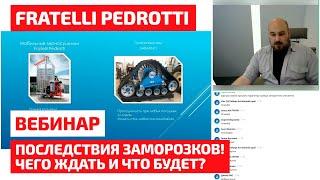 Последствия заморозков! Чего ждать и что будет?