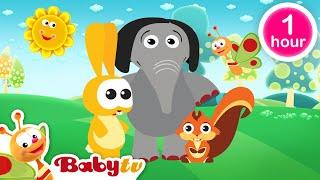 Baby Hood - Playing Football ​ + more BabyTV Classics  | Full Episodes @BabyTV