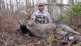 Buck Down on Public Land Rut Hunt