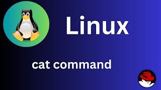 8/50 Basic Linux Commands | cat command Explained #shortsvideo #linux  #linux_tutorial