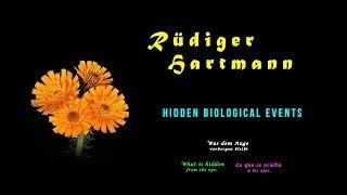 Was dem Auge verborgen bleibt • Hidden biological events • Lo que se oculta a los ojos • 02