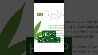 Very Interesting to Learn About Hemp and possible benefits.  Please watch the entire video. #life