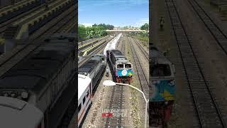 Kereta Api CC206 Adu Banteng Dengan Kereta Api CC201 #keretaapi #train #railway