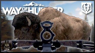 Wood Bison Crossbow Hunt in Alaska! Way of the Hunter