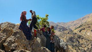 ️Mountain harvesting: the quest for Kulkhong unveiling the hot and dry pleasure of the mountains