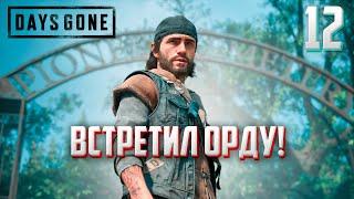 DAYS GONE ►ЖИЗНЬ ПОСЛЕ # 12 - встретил орду ! (прохождение)