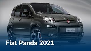 Cosa CAMBIA sul PANDINO? | Nuova Fiat Panda 2021