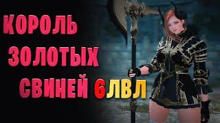 Проход босса на 6 лвл Король Золотых Свиней.  Пробуждённый страж?!. (Black Desert)