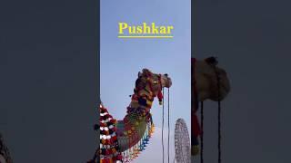 Pushkar 