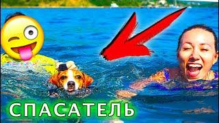 Собака Джина СПАСАТЕЛЬ ПЛАВАЕТ В ЖИЛЕТЕ ПЕРВЫЙ РАЗ Яхта Элли Ди | Elli Di Pets