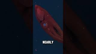 The Deep Sea’s Strangest Creature #Shorts #Facts #DidYouKnow #QuickFacts