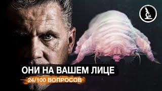 ЭТОТ ЛИЦЕВОЙ КЛЕЩ РЕАЛЬНО ЖИВЕТ НА ВАШЕМ ЛИЦЕ? (DEMODEX / КЛЕЩ ЖЕЛЕЗНИЦА)