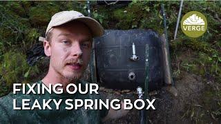 Baby Steps on the Road to a Spring Fed Hot Tub