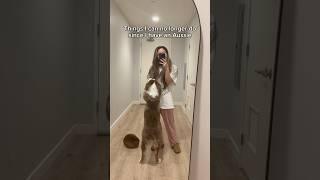 Things I can no longer do since I have an Aussie  | Part 1  #australianshepherd #dogs #dogfunny