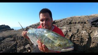 Topwater lure fishing - Leerfish 6kg (Leccia Amia) Lica