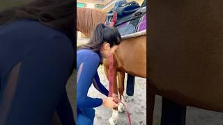 #youtubeshorts #horse #usa #upsc #ترند_خيول #horselover #يوميات_ترند #shortvideo #animals #shorts