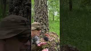 Очень редкий гриб #рыбалка #рыбалканафидер #fishing #рыбалканаозере #юмор #прикол #fishing