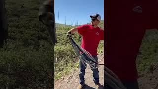 Porsche Went Off a Cliff