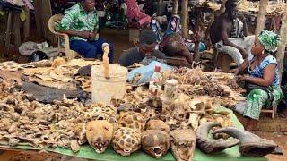 AFAGNAN Togo Rural Organic African Outdoor Market In West Africa - Cost Of Food In Africa