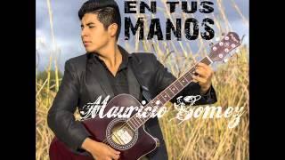 ANIMALES - Mauricio Gomez