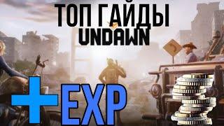 Лучшие гайды Undawn КРАТКО