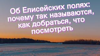 Об Елисейских полях: почему так называются, как добраться, что посмотреть