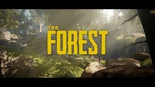 The Forest - Крафт бомбы и head-бомбы.