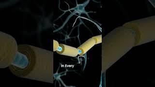 Sigma-1 - The Brain's Master Repair Switch Audio Extracted.pkf
