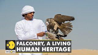 Falconry on UNESCO's intangible heritage list soon? Drones used to carry bait for Falcons |WION News