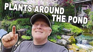 BEST PLANTS for Around the Pond - Part 1