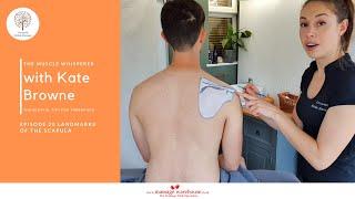 The Muscle Whisperer with Kate Browne Thoughtful Tips for Therapists: Ep 20 Landmarks of The Scapula