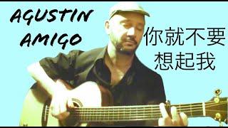 "You better not think about me 你就不要想起我" (Hebe Tien 馥甄) - Solo Acoustic Guitar by Agustín Amigó