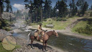 Red Dead Redemption 2: Free Roam Gameplay - Hunting Animals For Pearson - PS5 No Commentary