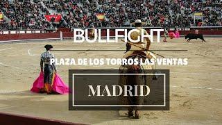 Bullfight in Madrid - Plaza de Los Torros