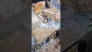 GOLD MINING #gold #idaho #outdoors