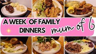 FAMILY DINNERS OF THE WEEK | family of eight, evening meal ideas