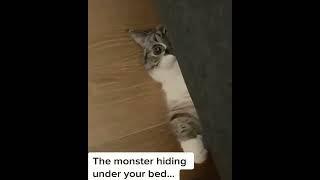 What if You Found a Cute Monster Under Your Bed? 