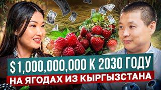 $1 МЛРД к 2030 на ЯГОДАХ – Прорыв для Кыргызстана!? / Тилек Токтогазиев