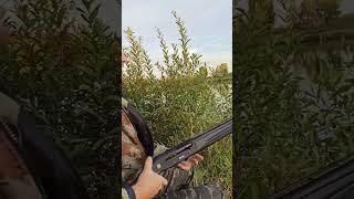 Как сделать подушку из вороны Истребляем нечисть.
