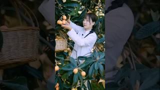 Enjoy beautiful nature fruits & rural life #shorts #nature #fruit #short #trending #ytshorts